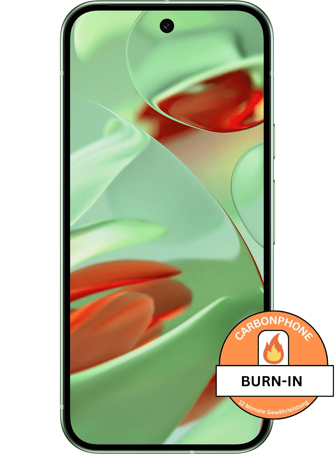 Google Pixel 9 – Burn-In Display