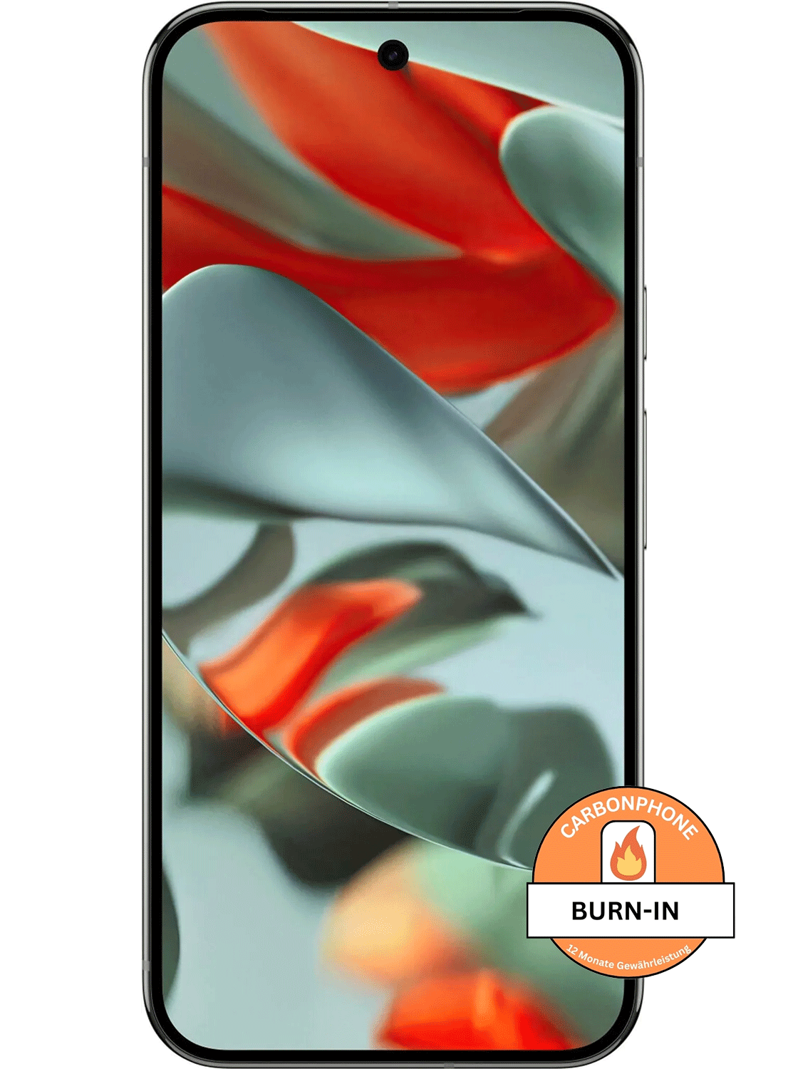 Google Pixel 9 Pro XL – Burn-In Display