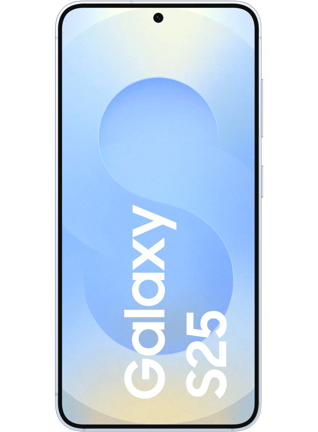 Samsung Galaxy S25 5G S931B/DS