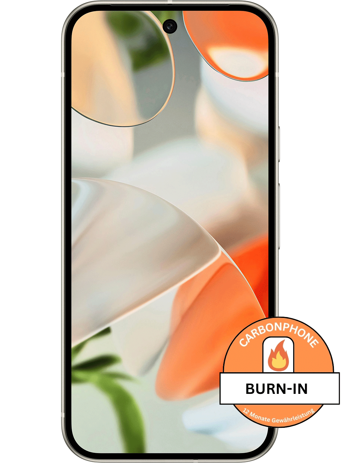 Google Pixel 9 – Burn-In Display