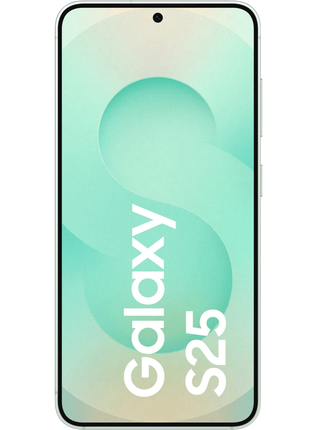 Samsung Galaxy S25 5G S931B/DS