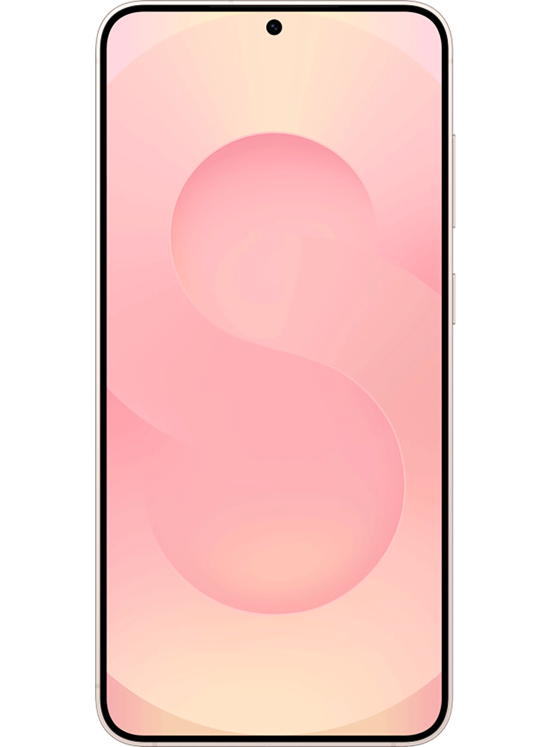 Samsung Galaxy S25 5G S931B/DS