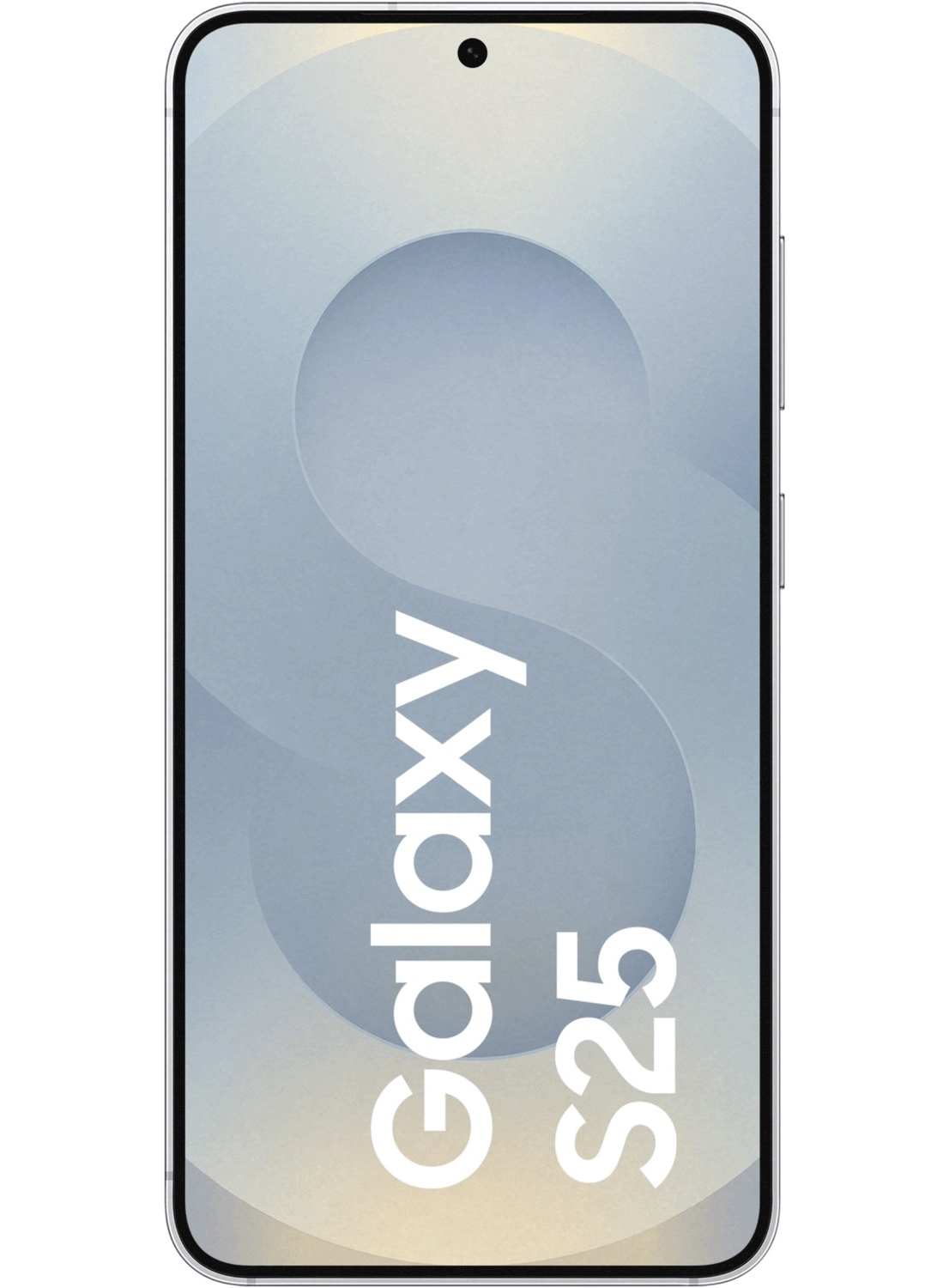 Samsung Galaxy S25 5G S931B/DS