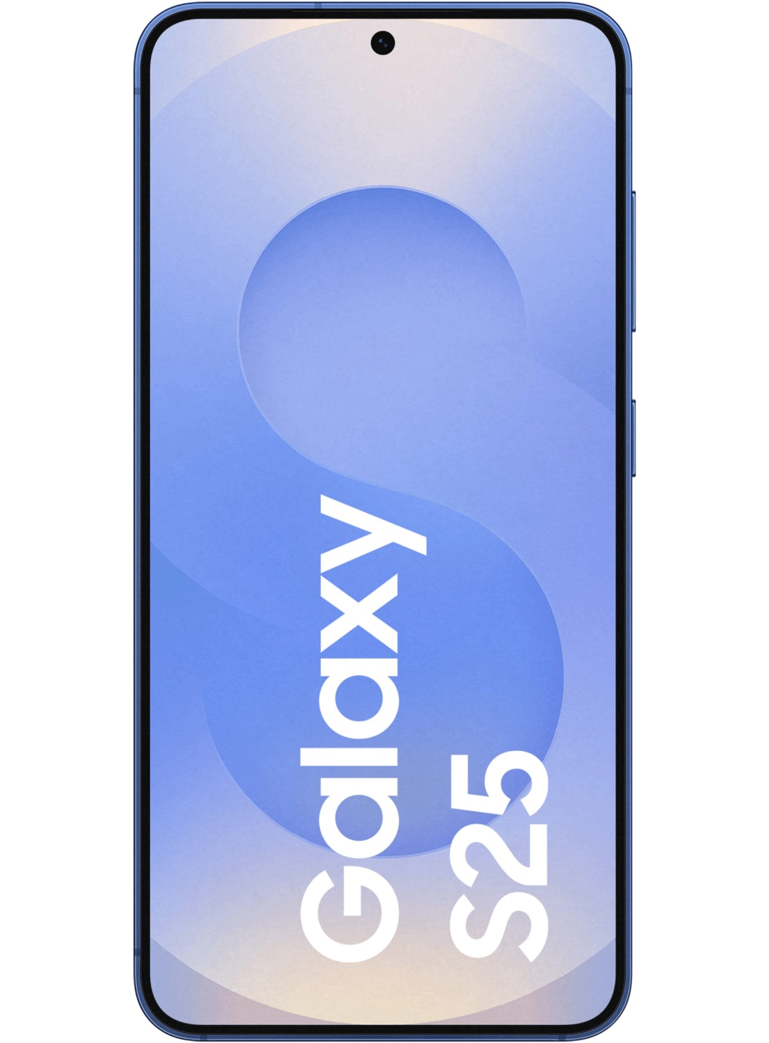 Samsung Galaxy S25 5G S931B/DS