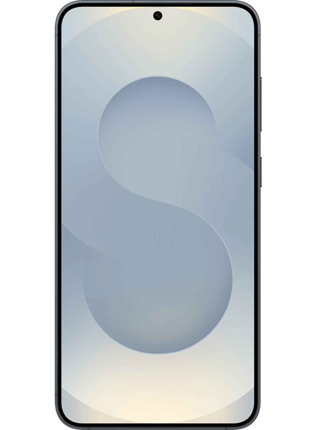 Samsung Galaxy S25 5G S931B/DS