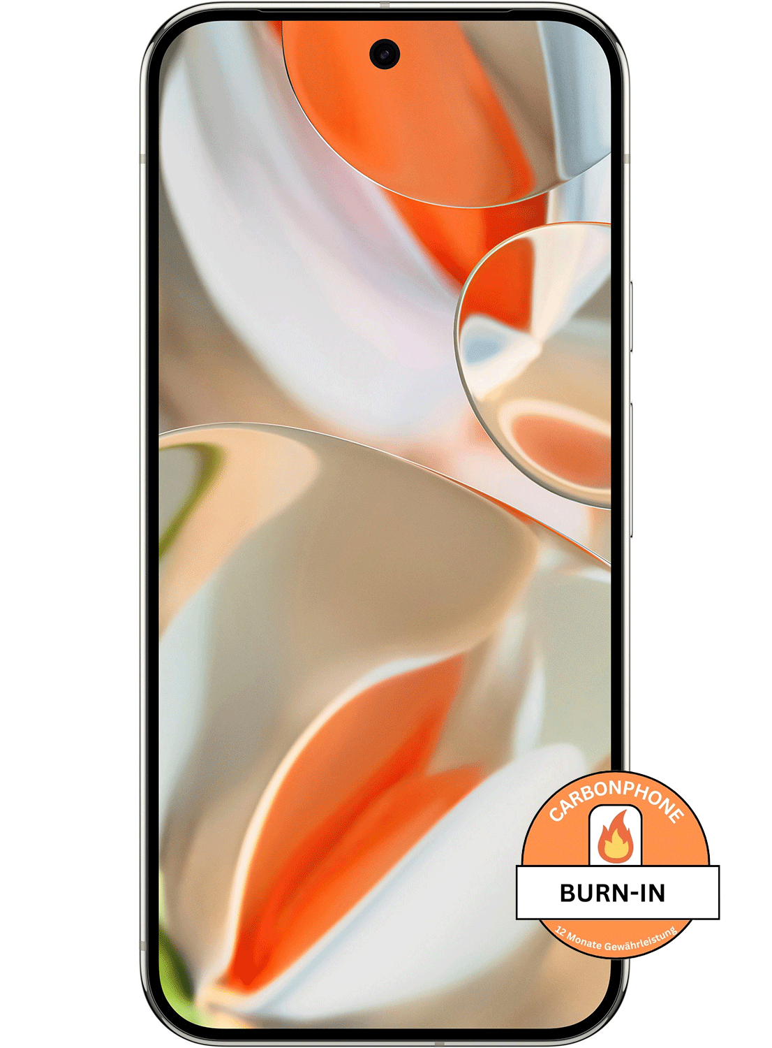 Google Pixel 9 Pro XL – Burn-In Display