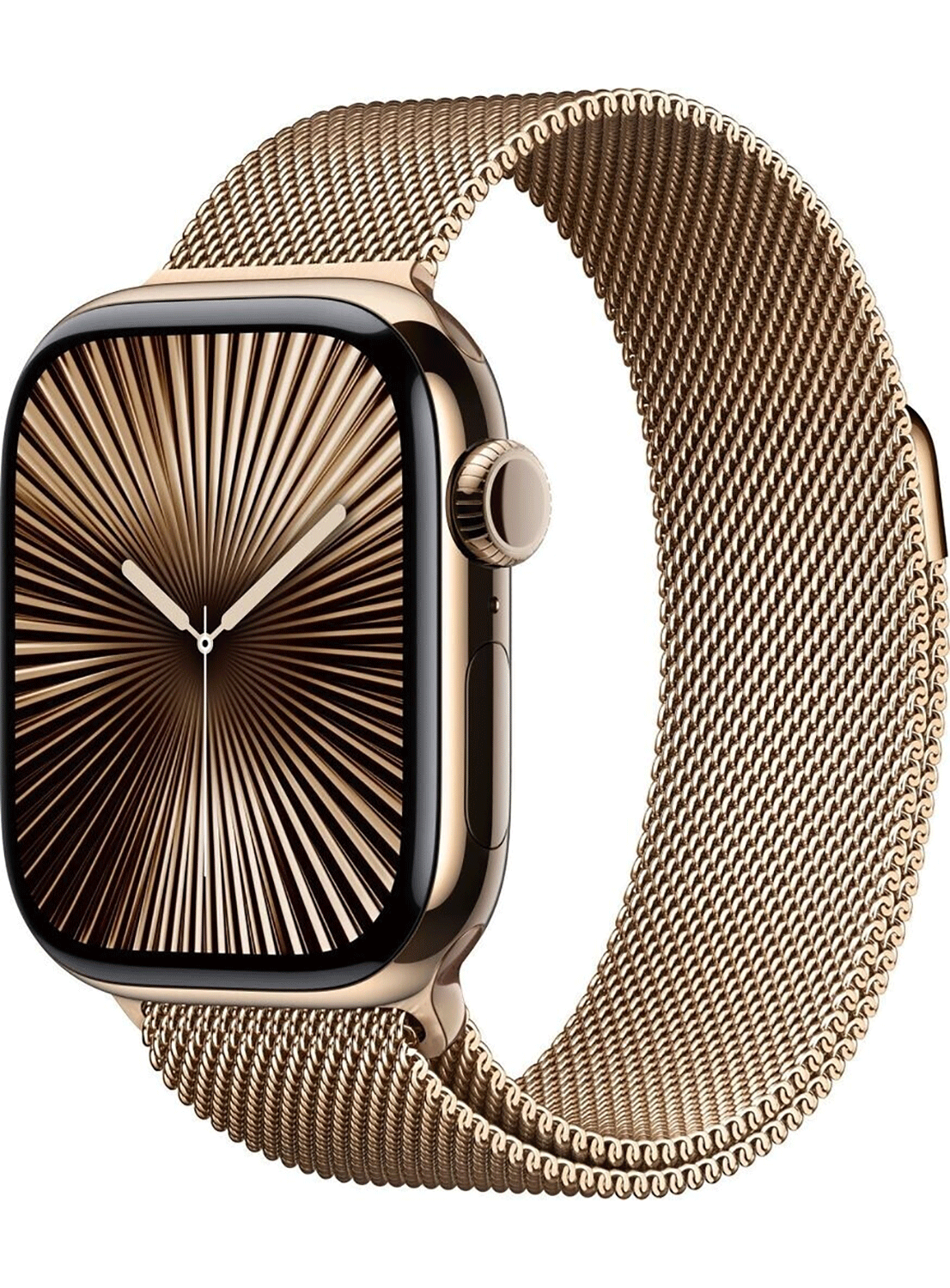 Apple Watch Series 10 4G 42mm Titan Case