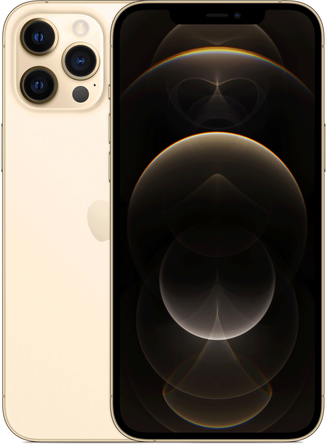 Apple iPhone 12 Pro Max - CarbonPhone