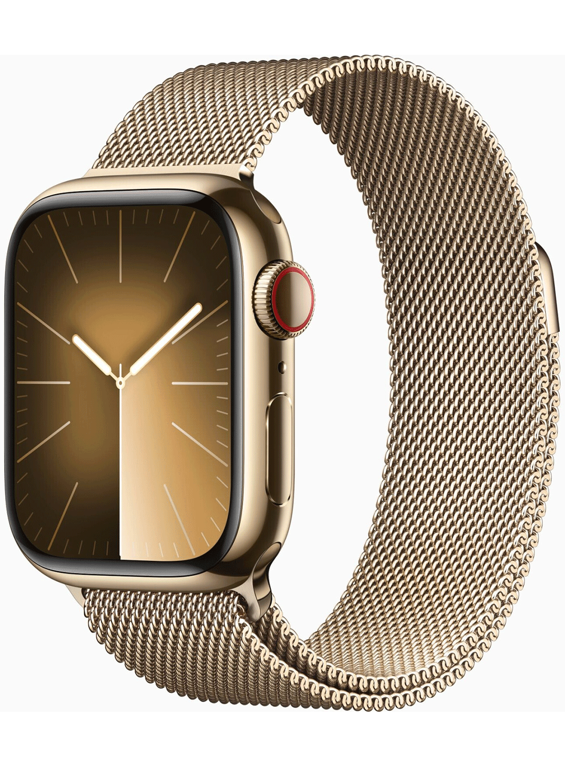 Apple Watch Series 9 4G 41mm Edelstahl Case - CarbonPhone