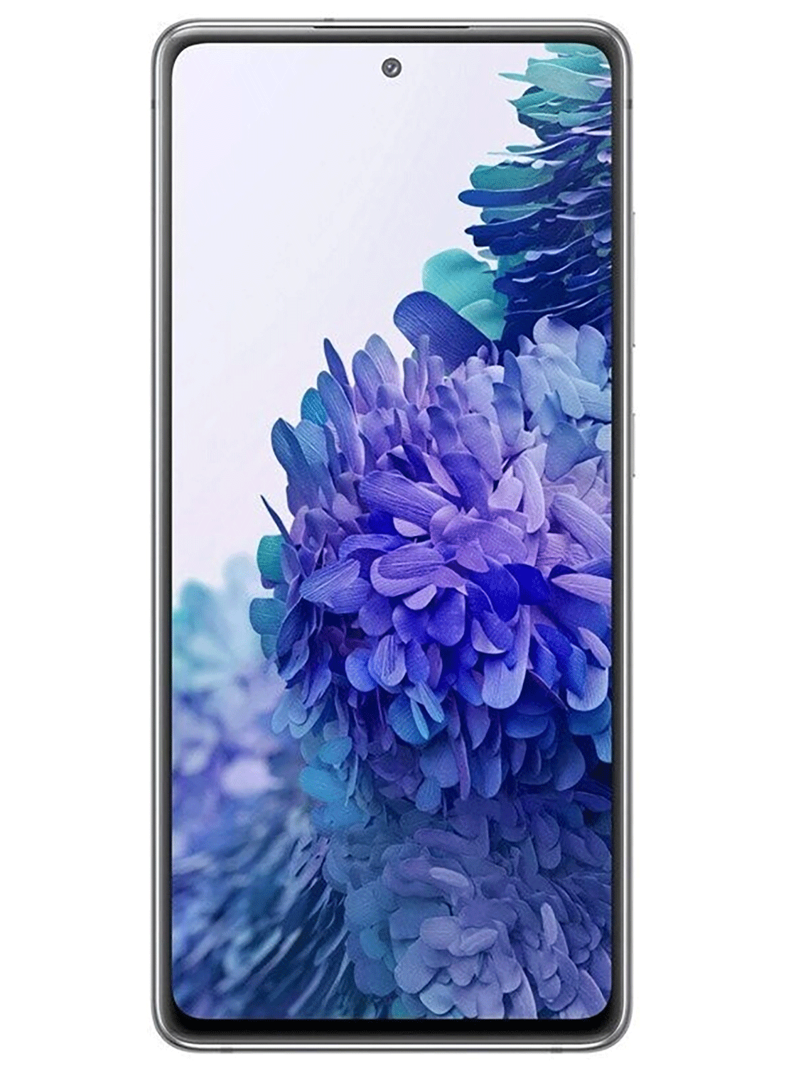 Samsung Galaxy S20 FE 5G G781B/DS