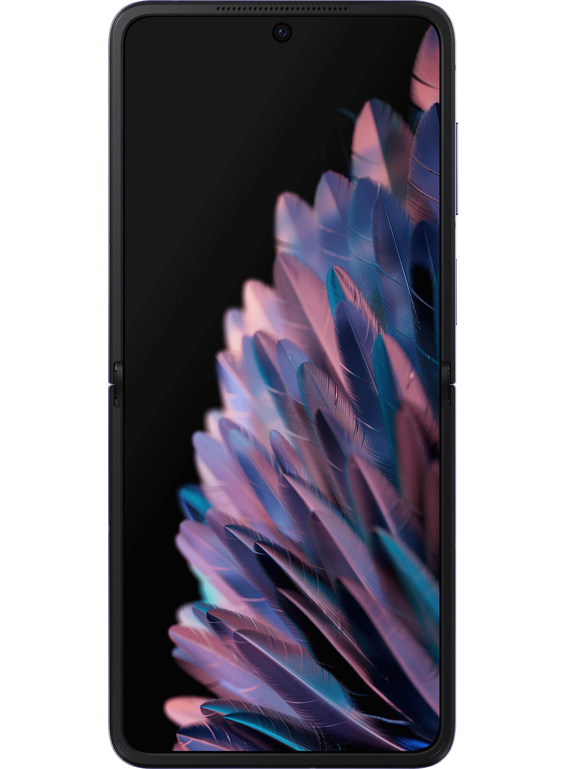 OPPO Trouver N2 Flip