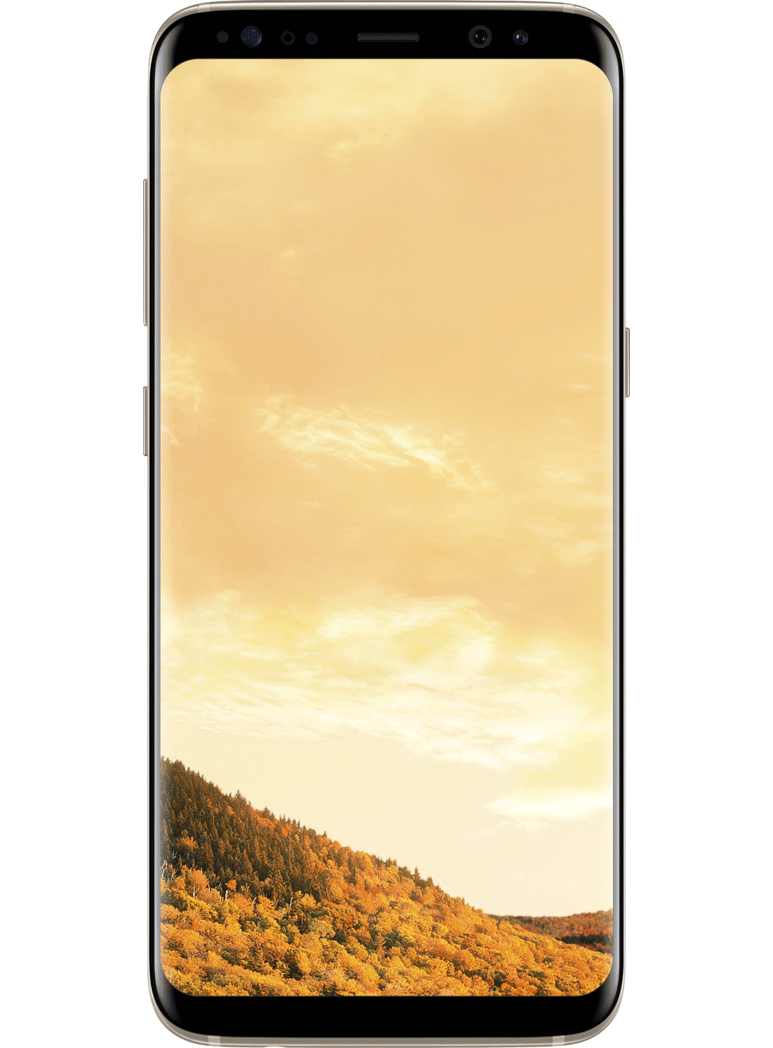 Samsung Galaxy S8 G950