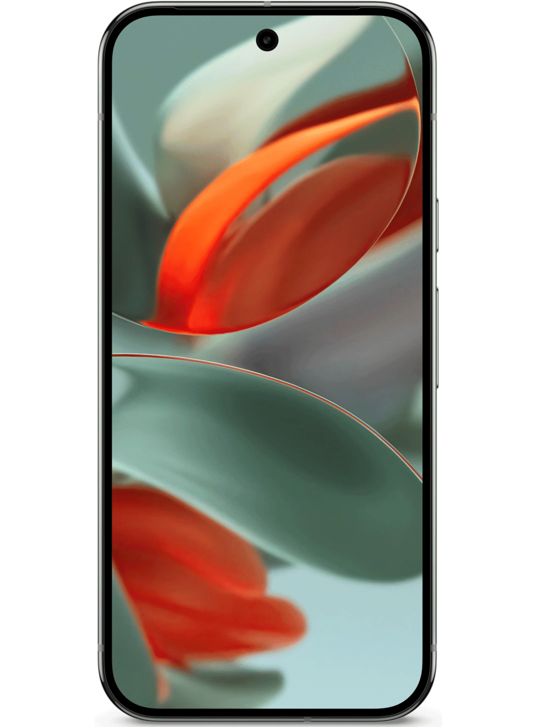 Google Pixel 9 Pro