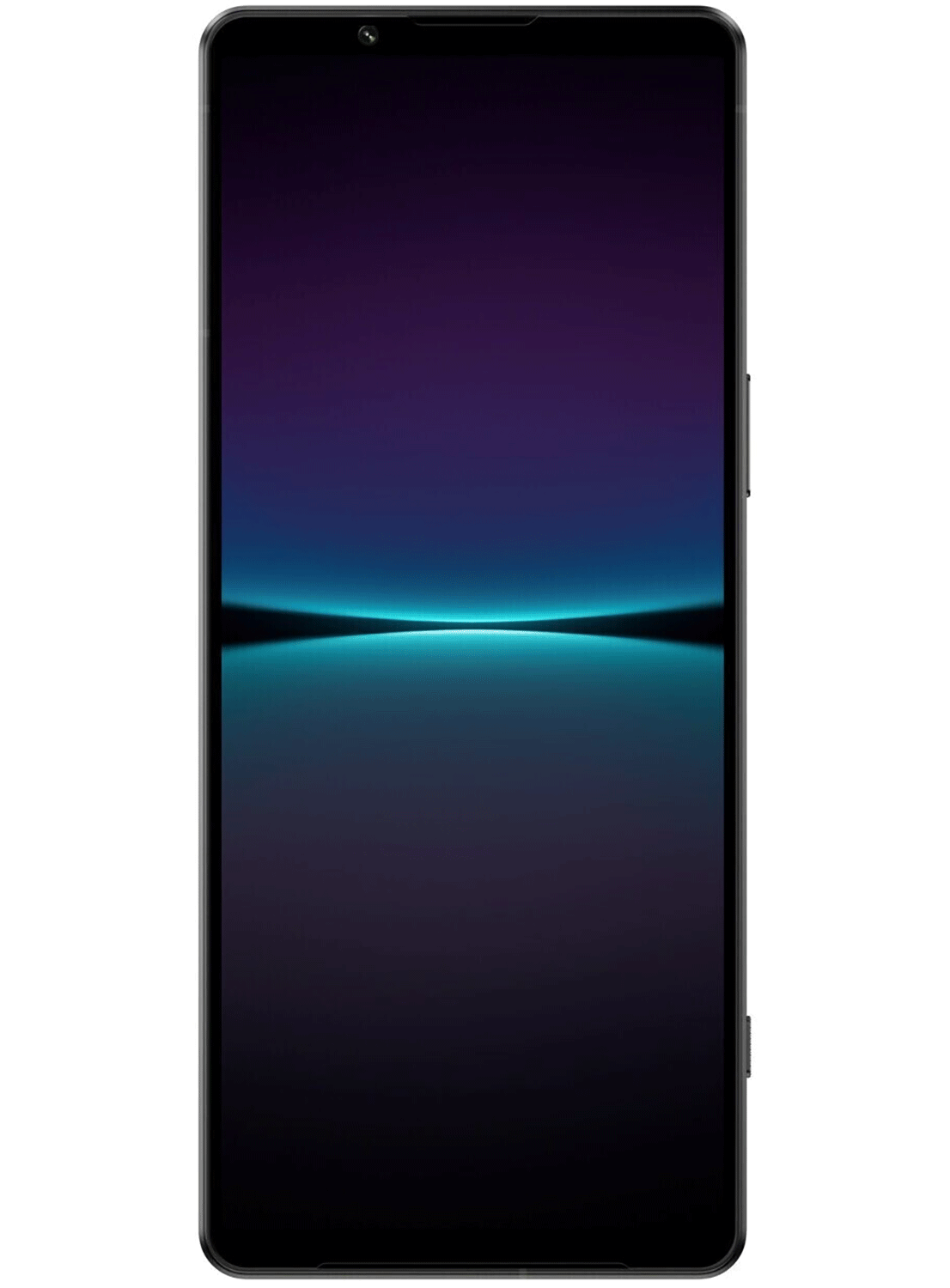 Sony Xperia 1 IV Dual Sim