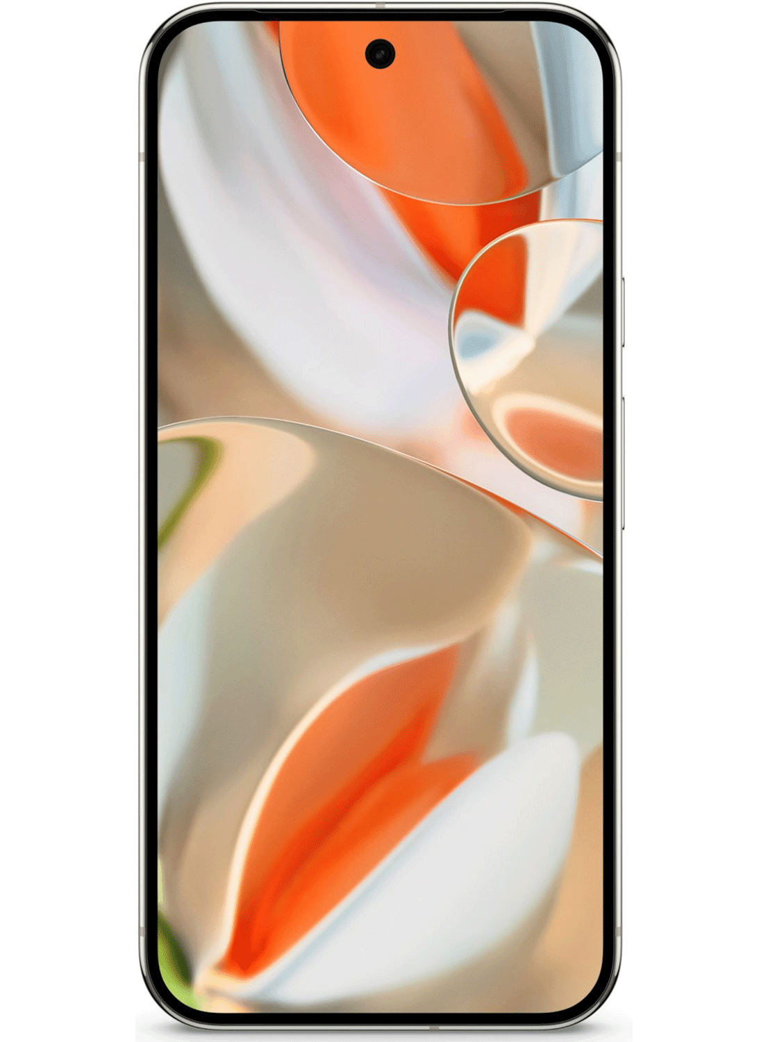 Google Pixel 9 Pro XL