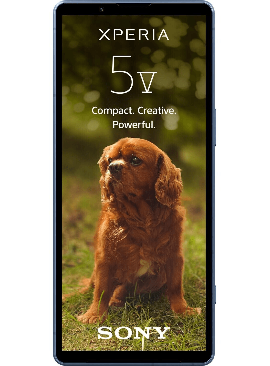 Sony Xperia 5 V - CarbonPhone