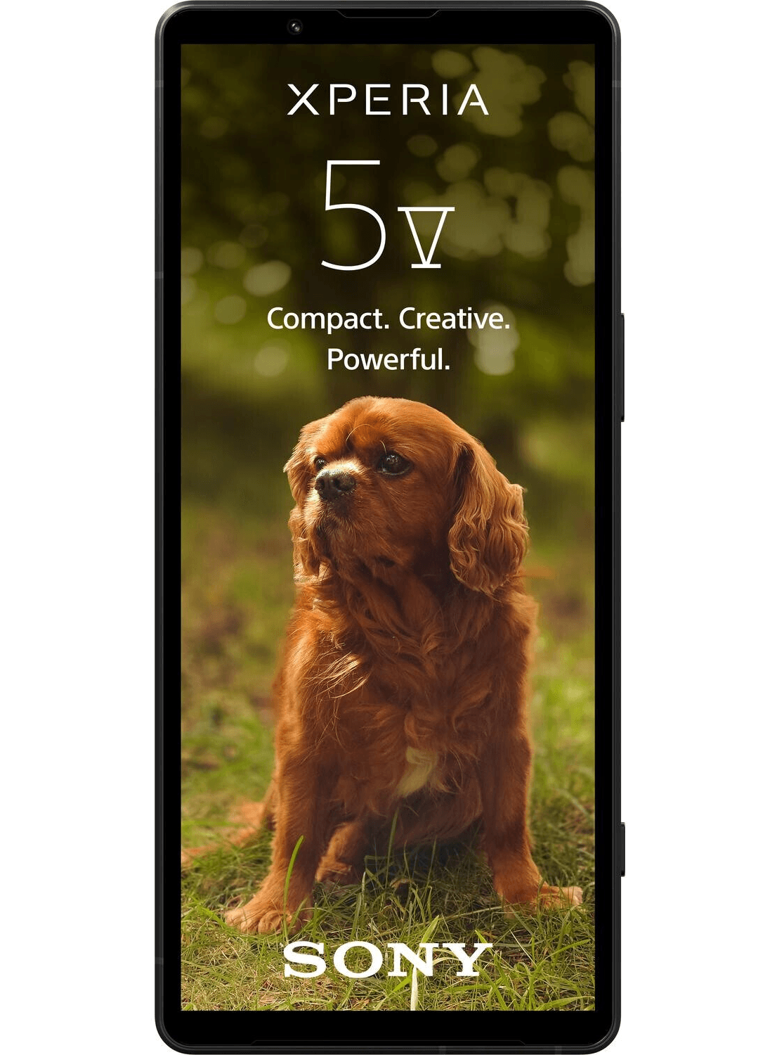 Sony Xperia 5 V - CarbonPhone