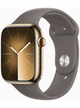 Apple Watch Series 9 4G 45mm Edelstahl Case mit Silicon Armband – Gold · Silicon Brown